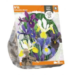 Baltus Iris Hollandica Mixed bloembollen per 15 stuks